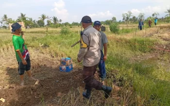 Bhabinkamtibmas Dampingi Petani Jagung Manis di Lombok Barat
