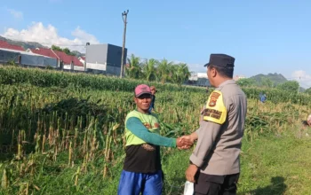 Bhabinkamtibmas Dampingi Kadis Pertanian Tinjau Irigasi di Ombe Baru