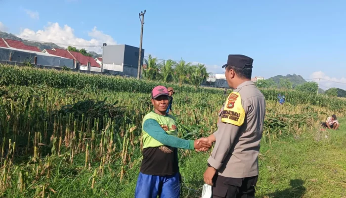 Bhabinkamtibmas Dampingi Kadis Pertanian Tinjau Irigasi di Ombe Baru