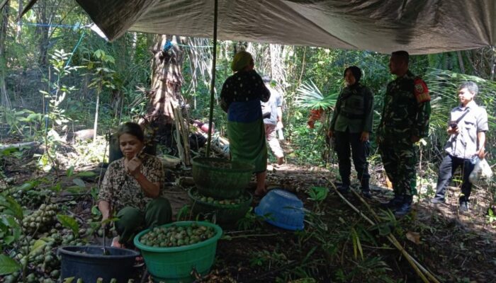 Kolaborasi Babinsa dan Kehutanan Jaga Kelestarian Hutan Batulayar