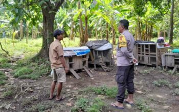 Polsek Batulayar Gencarkan Ketahanan Pangan, Dorong Warga Tanam Sayur