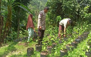 Inovasi Polsek Batulayar: Pertanian Mandiri Jaga Ketahanan Pangan Keluarga