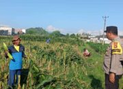 Bhabinkamtibmas Labuapi Ajak Warga Karang Bongkot Sulap Pekarangan Jadi Lumbung Pangan