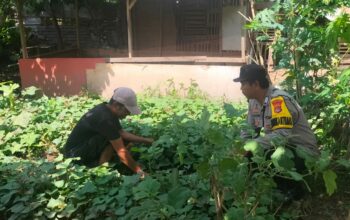 Bhabinkamtibmas Desa Mantun Dampingi Warga Kelola Pekarangan Pangan Bergizi, Dorong Kemandirian Pangan Masyarakat