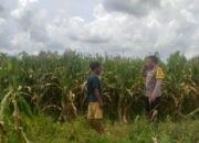 Sinergi Polri dan Warga Wujudkan Kemandirian Pangan di Lombok Barat