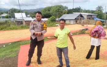 BHABINKAMTIBMAS DESA DORO MELO SAMBANG DAN PANTAU WARGA YANG MENJEMUR HASIL PANEN JAGUNG