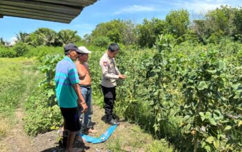 perkuat kolaborasi demi terwujudnya ketahanan pangan