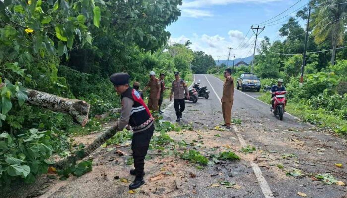 Aksi Sigap Polsek Sekotong: Bersihkan Pohon Tumbang di Lombok Barat