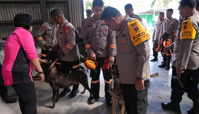 Polda Sumut Kerahkan Unit K9 untuk Percepat Pencarian Korban Banjir Bandang dan Longsor di Tapteng–Sibolga