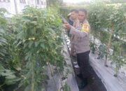 Kuatkan Ketahanan Pangan, P4S Lombok Barat Dorong Kompetensi Petani