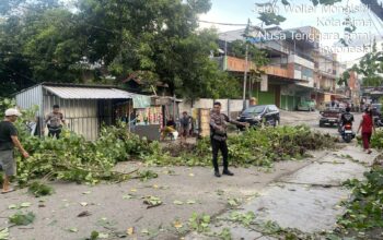 Sat Samapta Polres Bima Kota Tindaklanjuti Laporan Warga Terkait Pohon Tumbang di Kelurahan Sarae