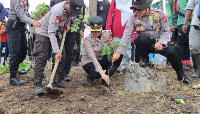 Safari Sumbawa Menanam: Forkopimda dan Warga Bersatu Hijaukan Hutan Lindung Bendungan Beringin Sila