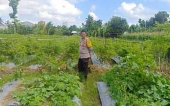 Polsek Gerung Ajak Warga Beleke Garap Lahan Tidur