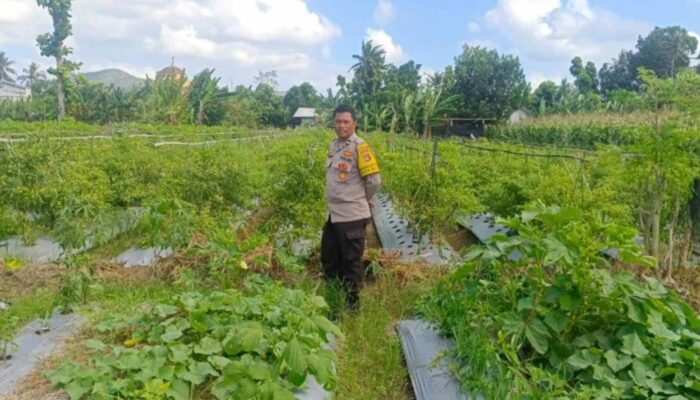Polsek Gerung Ajak Warga Beleke Garap Lahan Tidur