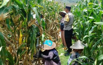 Bhabinkamtibmas Lombok Barat Motivasi Petani di Sawah
