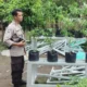 Transformasi Lahan Terbengkalai Jadi Sumber Pangan di Desa Bengkel