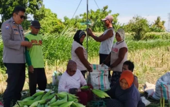 Bhabinkamtibmas Lombok Barat Sulap Pekarangan Jadi Lahan Pangan