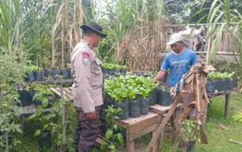 Polsek Batulayar Dampingi Pembibitan Sayur di Lahan Pekarangan Warga