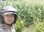 Strategi Polsek Sekotong Optimalkan Lahan Tadah Hujan di Lombok Barat