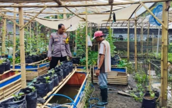 Bhabinkamtibmas Desa Bajur Edukasi Warga Manfaatkan Lahan Sempit