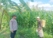 Sinergi Bhabinkamtibmas dan Peternak Gerung Perkuat Pangan