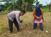 Sinergi Polsek Labuapi dan Warga Wujudkan Desa Mandiri Pangan