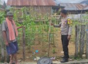 Bhabinkamtibmas Desa Manemeng Laksanakan Pendampingan Pekarangan Pangan Bergizi