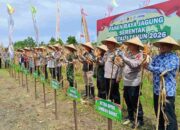 Sinergi Polri dan Pemprov NTB: Sukseskan Panen Jagung Kuartal I 2026