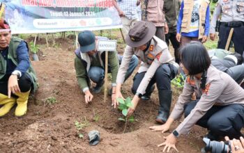 Wujud Sinergitas, Kapolres dan Bupati Sumbawa Tanam Seribu Arabika demi Kelestarian Batulanteh