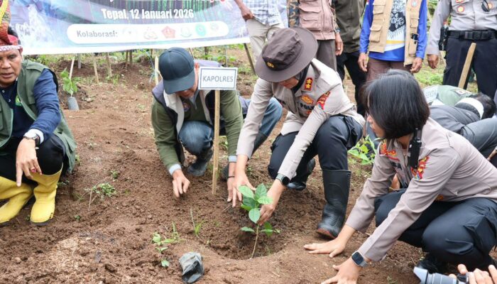 Wujud Sinergitas, Kapolres dan Bupati Sumbawa Tanam Seribu Arabika demi Kelestarian Batulanteh