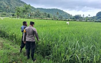 Dukung Ketahanan Pangan, Bhabinkamtibmas Desa Sampe Ajak Warga Ubah Pekarangan Jadi Kebun Sayur