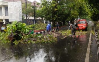 Pohon Tumbang, Babinsa Kodim 1606 Bergerak Cepat