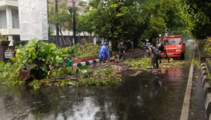Pohon Tumbang, Babinsa Kodim 1606 Bergerak Cepat