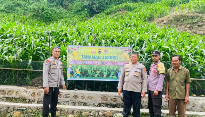 Dukung Ketahanan Pangan Nasional, Polres Bima Kota Pantau Perkembangan Tanaman Jagung Milik Warga
