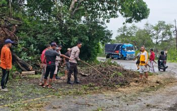 Pastikan Jalur Utama Aman, Polsek Buer Pimpin Evakuasi Pohon Tumbang di Desa Tarusa