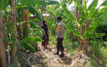 Bhabinkamtibmas Desa Pamanto Motivasi Warga Wujudkan Ketahanan Pangan Mandiri