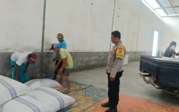 Pastikan Stok Aman, Bhabinkamtibmas di Gerung Cek Gudang Jagung