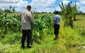 Bhabinkamtibmas Labuapi Dampingi Warga Sulap Lahan Kosong Jadi Produktif