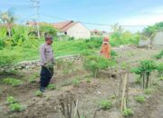 Aksi Nyata Polres Lombok Barat Sukseskan Program Ketahanan Pangan