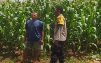 Polsek Sekotong Kawal Ketahanan Pangan di Desa Batu Putih