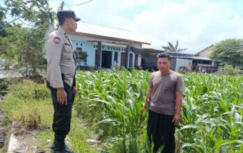Bhabinkamtibmas Labuapi Ajak Warga Sulap Lahan Tidur