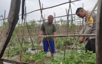 Strategi Polsek Labuapi Perkuat Stok Pangan di Lombok Barat