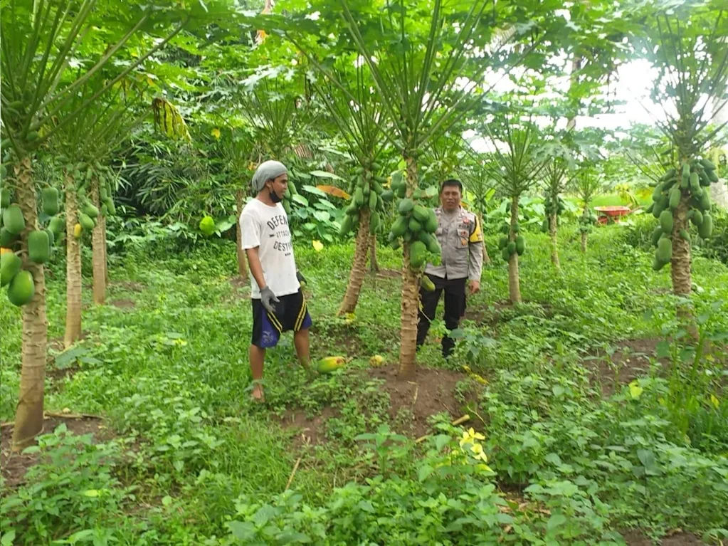 inergi Polri dan Petani dalam Pemanfaatan Lahan Kosong NTB