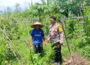 Dukung Kedaulatan Pangan, Polsek Gerung Motivasi Petani Lokal