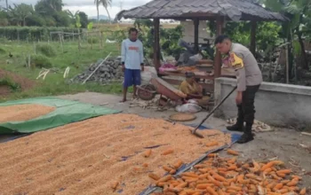 Polri Dampingi Petani Labuapi Percepat Swasembada Pangan