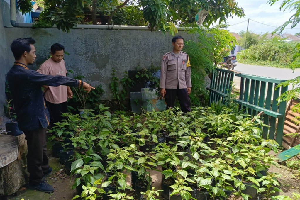 Bhabinkamtibmas Labuapi Dorong Warga Kelola Bibit di Lahan Terbatas