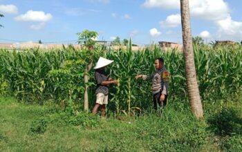 Polres Lombok Barat Intensifkan Pendampingan Ketahanan Pangan Desa