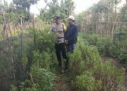 Bhabinkamtibmas Desa Babussalam Dorong Kemandirian Pangan Warga Gerung