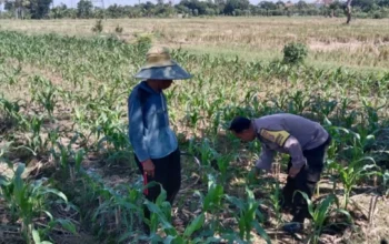 Polsek Labuapi Dorong Optimalisasi Lahan Pekarangan Warga