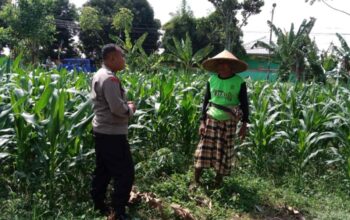 Polres Lombok Barat Kawal Swasembada Pangan di Labuapi